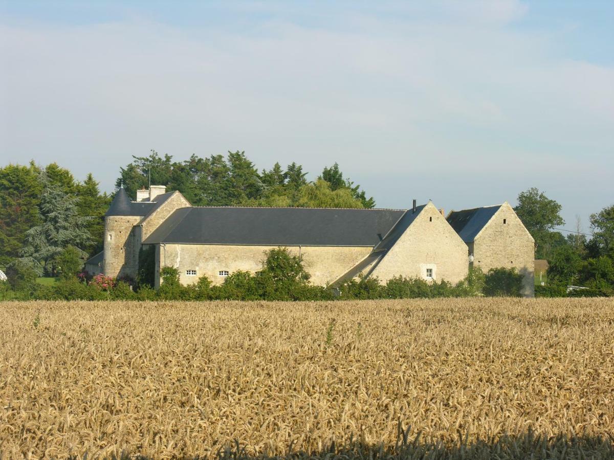 Ferme De Savigny Bed & Breakfast La Cambe Exterior photo